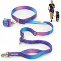 Spark Paws Hands Free Dog Leash by SparkPaws