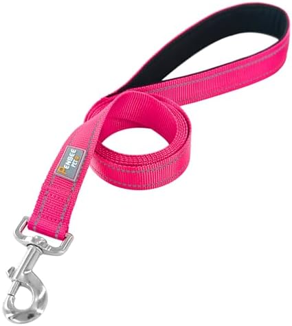 6 FT Basic Dog Leash for Large Dogs, Hot Pink - Image 2