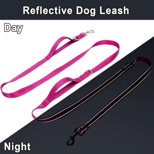 WYuZe Double Clasp 10ft Dog Leash - Image 5