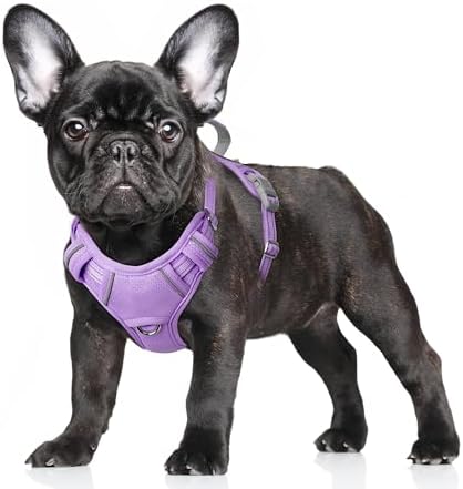 BARKBAY No Pull Dog Harness Large Reflective Dog Harness by BARKBAY