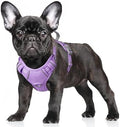 BARKBAY No Pull Dog Harness Large Reflective Dog Harness by BARKBAY