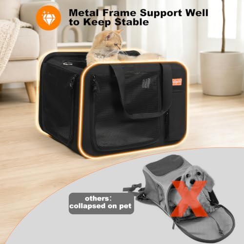pidipiti 20x14x14 Soft-Sided Expandable Large cat car Travel Carrier - Image 4