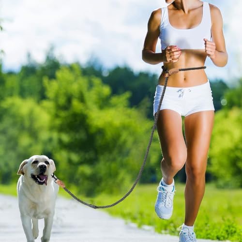 Mile High Life Hands Free Dog Leash, Crossbody Waist Leash - Image 5