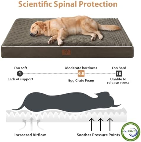WNPETHOME Orthopedic XXL Dog Beds - Image 3