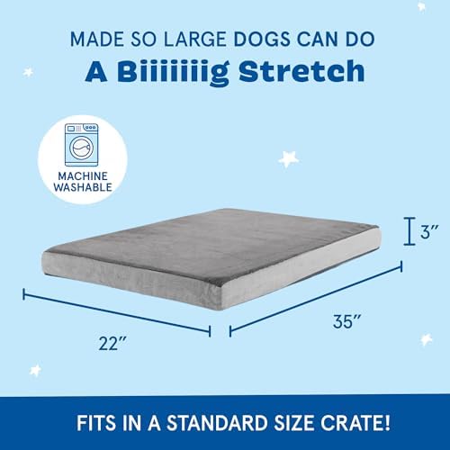 BarkBox Orthopedic Dog Bed - Image 2
