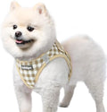 rabbitgoo Step-in Small Dog Harness, Puppy Vest by rabbitgoo