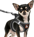 Dog Harness Medium Sized Dogs, Puppy Harness and Leash Set by Unknown