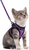 rabbitgoo Cat Harness and Leash Set, Step-in Soft Vest by rabbitgoo