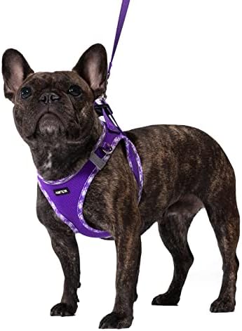 AMTOR Small Dog Harness with Leash Set, No Escape Easy Walk Puppy Harnesses by AMTOR