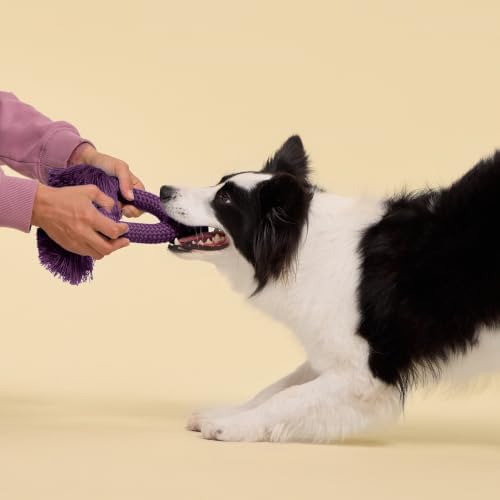 Playology Tug Rope Dog Toys for Large Breed Dogs - Image 3