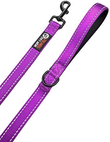 Primal Pet Gear Dog Leash 6ft Long, Traffic Padded Two Handle, Heavy Duty - Image 6