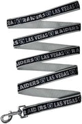 NFL PET Las Vegas Raiders Dog Leash, Small Football Team Leash by PETSFIRST