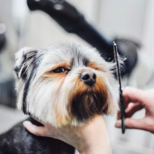 Wahl Professional Pet Grooming Scissors - Image 4