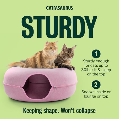 Cattasaurus Peekaboo Cat Cave Donut - Image 5