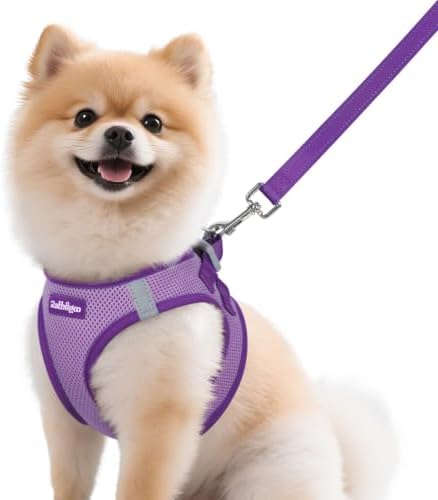 rabbitgoo Dog Harness Small Sized and Leash Set, Step in Soft Vest by rabbitgoo