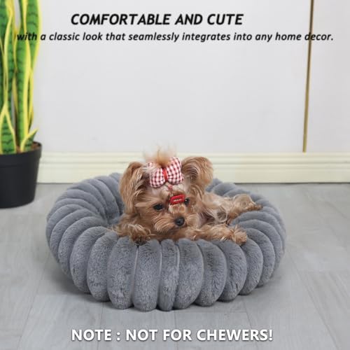 Kitten Beds for Indoor Cats - Image 2