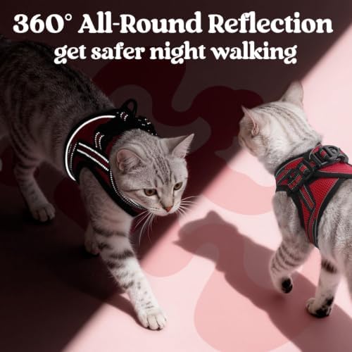 rabbitgoo Cat Harness and Leash Set, Step-in Soft Vest - Image 5