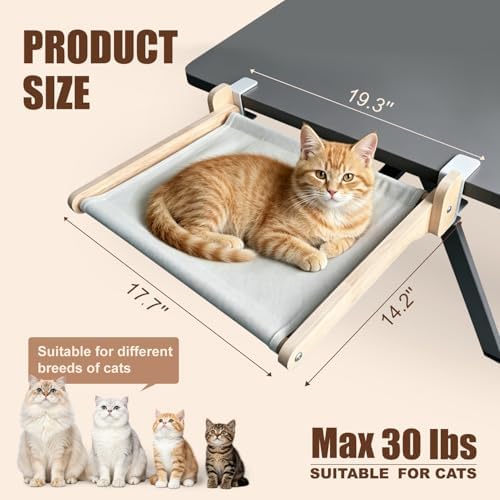 Cat Desk Bed Foldable Wood Cat Bed - Image 4