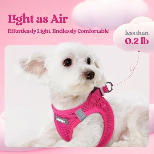 rabbitgoo Dog Harness Small Sized and Leash Set, Step-in Puppy Pet Vest - Image 3