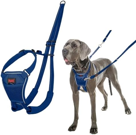 Halti No Pull Dog Harness | Size L, Cobalt Blue by Halti