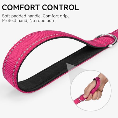 Joytale Reflective Dog Leash for Medium & Large Dogs, 4 FT x 1" - Image 3