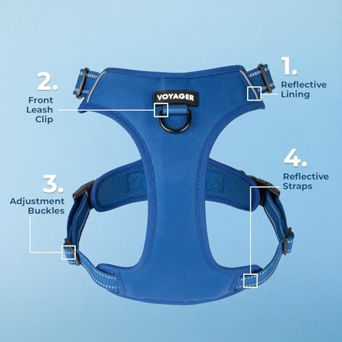 Voyager Dual Attachment No Pull Harness - Image 3