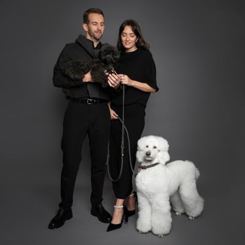 Noah & Paw Hands Free Dog Leash Leather Dog Leash - Image 2