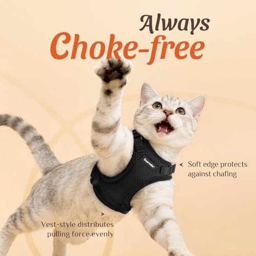 Dooradar Cat Harness and Leash Set, Adjustable and Escape Proof - Image 2
