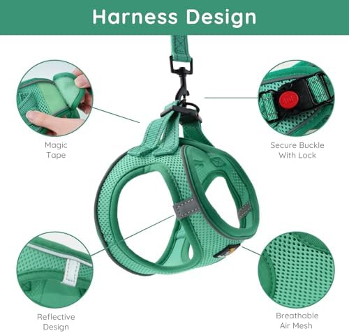 BELLA & PAL Small Emerald Dog Harness - Image 2