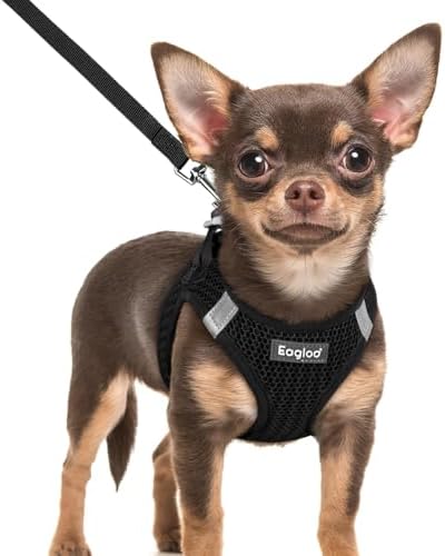 Eagloo Small Dog Harness and Leash Set, Step in Extra Small Puppy Pet Vest by GoExplorewithEagloo