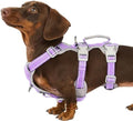 Huntboo Escape Proof Dog Harness, Secure Dog Harness No Escape, Fully by Huntboo