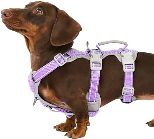Huntboo Escape Proof Dog Harness, Secure Dog Harness No Escape, Fully by Huntboo