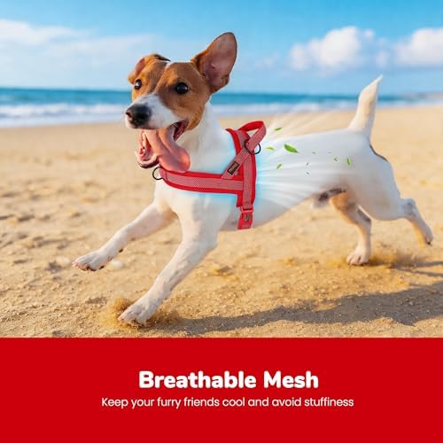 Didog No Pull Dog Harness for Small Dogs, Breathable Mesh Padded - Image 2