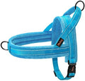 Didog No Pull Dog Harness for Medium Dogs, Soft Flannel Padded by Didog