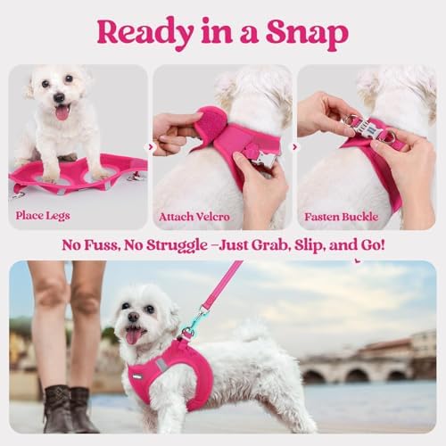 rabbitgoo Dog Harness Small Sized and Leash Set, Step-in Puppy Pet Vest - Image 5
