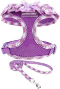 EXPAWLORER Step-in Dog Harness Small Sized and Leash Set by EXPAWLORER