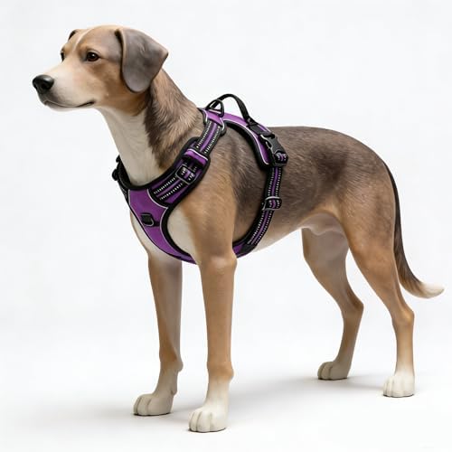 Purple No-Pull Dog Harness by Unknown