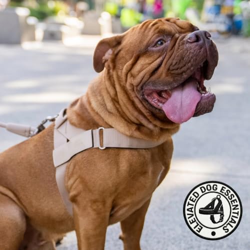 Dog Friendly Co. Dog Harness for Medium Sized Dogs - Image 6