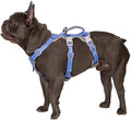 Huntboo Escape Proof Harness, No Slip Dog Harness Escape Proof, Fully by Huntboo