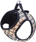 RC Pet Products Cirque Soft Walking Step-in Dog Harness, Tan Tartan by RCPets