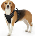 Eagloo Dog Harness for Small Dogs, No Pull Pet Vest by GoExplorewithEagloo