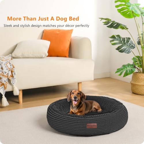 Dwanton Orthopedic Small Dount Dog Bed Cat Bed, Calming Egg-Crate Foam - Image 7