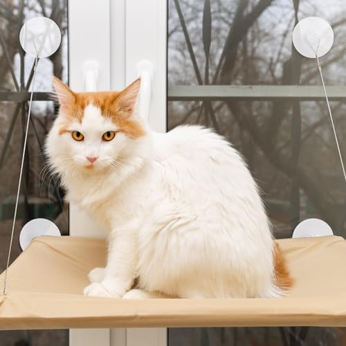 4 Pieces Cat Window Perch Suction Cup Powerful Window Bed Seat Replacement - Image 5