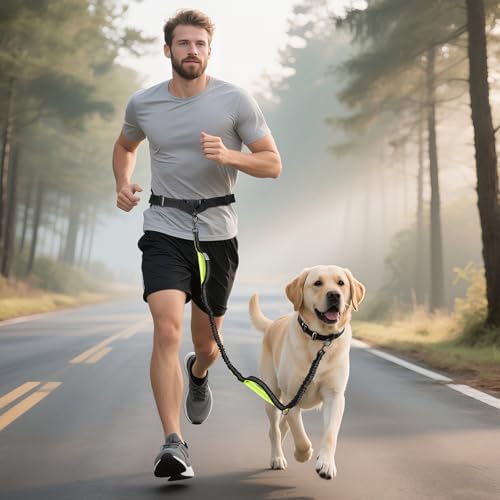 Hands Free Dog Leash for Medium Large Dogs, Waist Support Padded Bungee Dog - Image 2