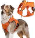 rabbitgoo Tactical Dog Harness for Medium, No Pull Military Service Vest by rabbitgoo