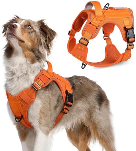 rabbitgoo Tactical Dog Harness for Medium, No Pull Military Service Vest by rabbitgoo