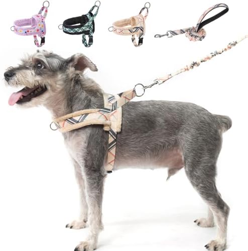 BEAUTYZOO No Pull Medium Dog Harness and Leash Set, Soft Puppy Vest Harness by BEAUTYZOO