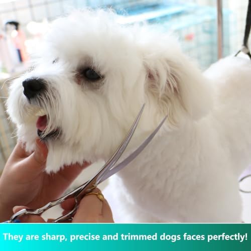 HASHIMOTO Curved Dog Grooming Scissors, 7.5 inch, Trimming Face and Paws - Image 4