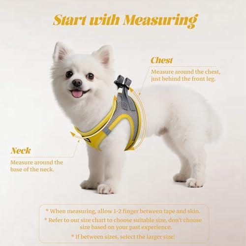 No Pull Dog Puppy Harness and Leash Set Reflective Mesh Vest XX-Small - Image 2
