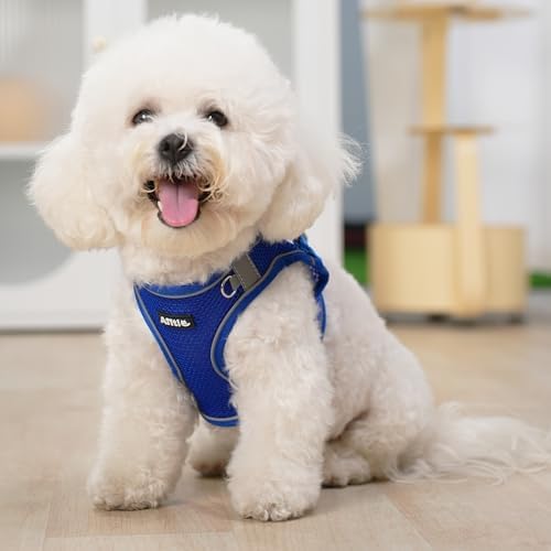 AIITLE Dog Harness and Leash Set, Step-in Puppy Pet Vest, Royal Blue S - Image 2